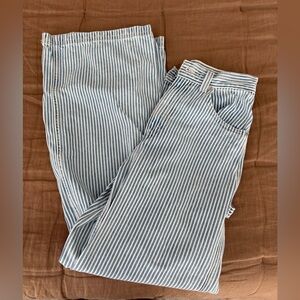 Levi’s Cinch Baggy Carpenter Jeans